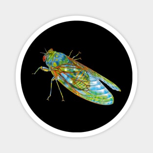 Cicada Magnet